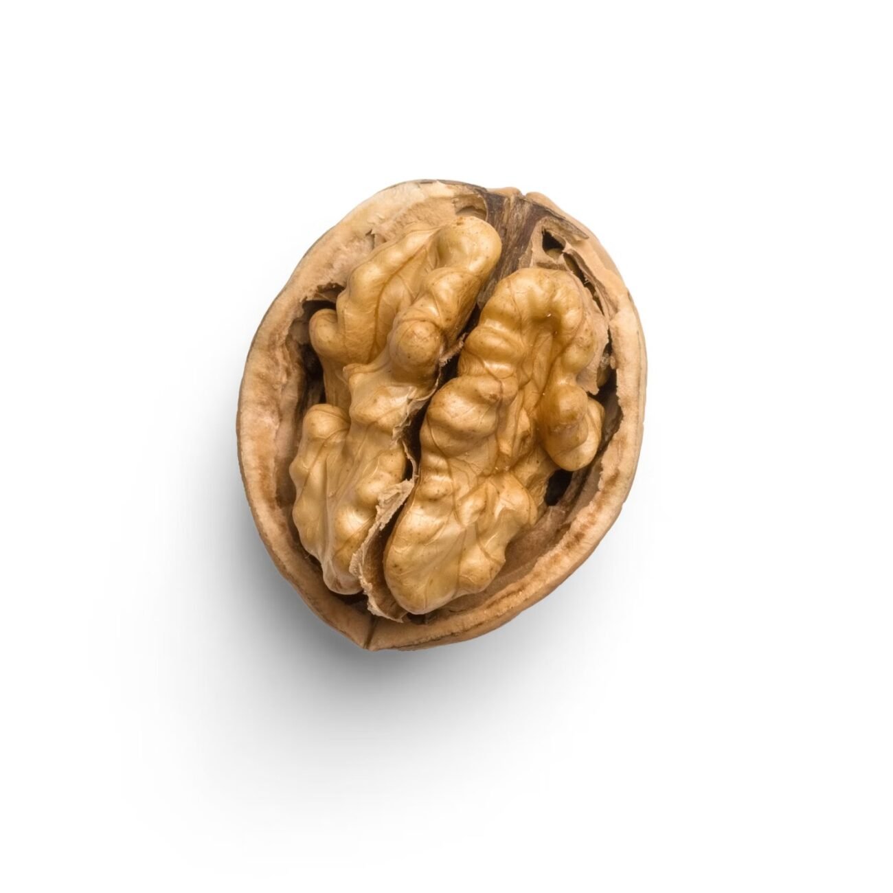 Healthy brain food example walnut