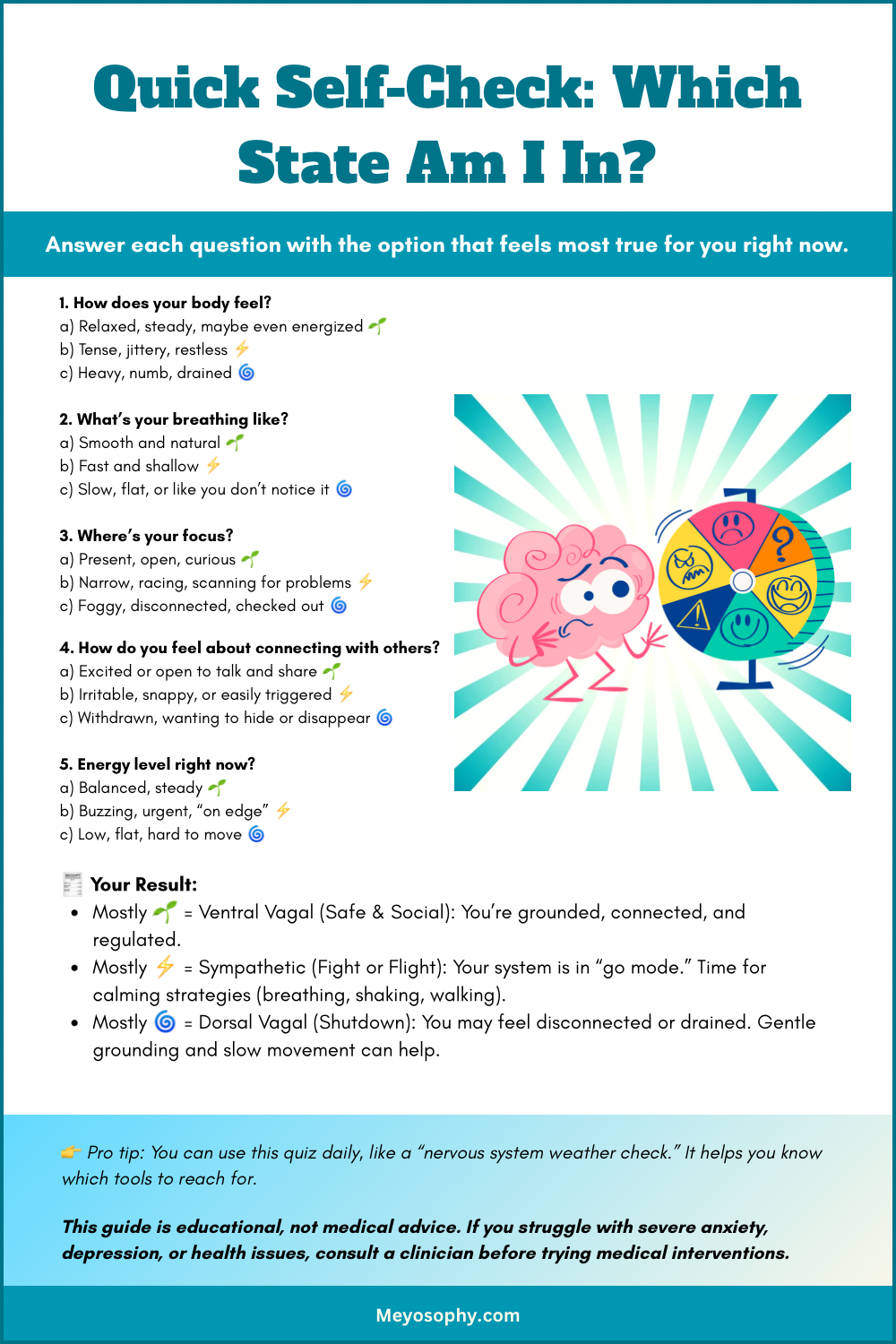 Quick quiz to see which state someone's in. Options: Ventral vagal, Sympathetic or Dorsal Vagal. 