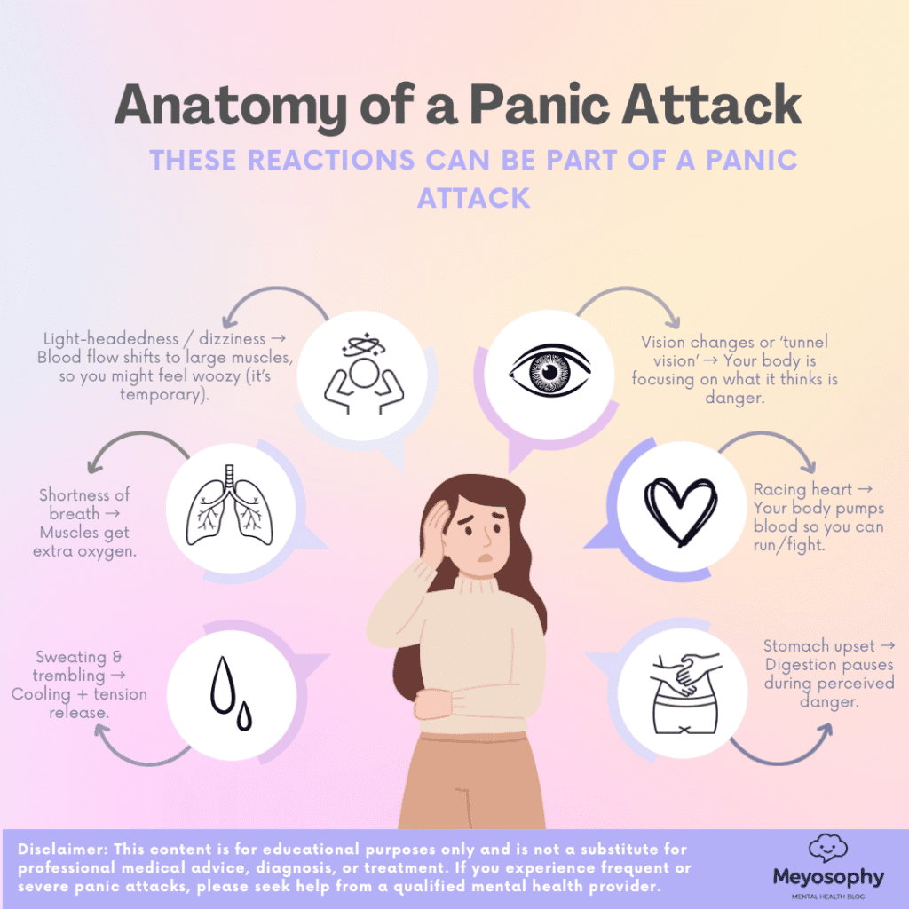 Anatomy of a panic attack