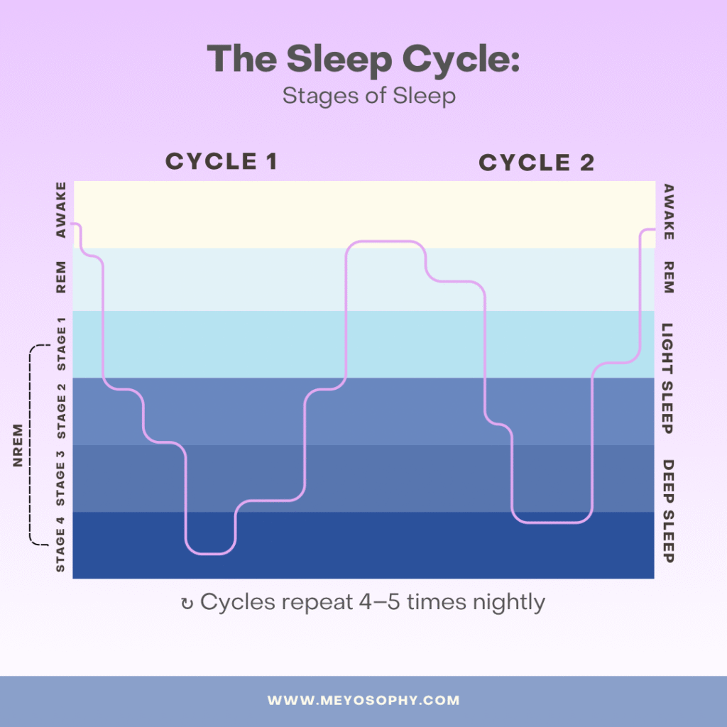 Sleep cycles